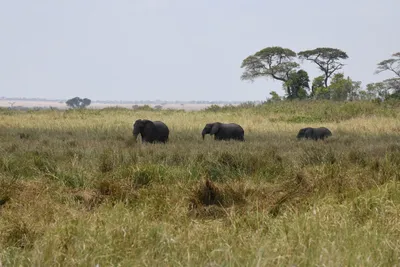 DSC_3606 (Large).JPG